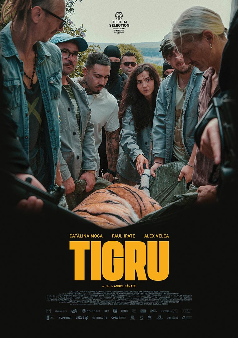 Tigru / Day of the Tiger (2023) Poster film Tigru (2023), regia Andrei Tănase – producție Domestic Film, portofoliu ARTRIGHT.